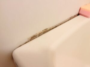 カビが気になる方